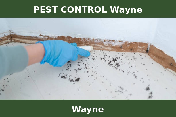 PEST CONTROL Wayne